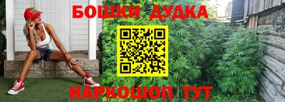 молекула духа Будённовск