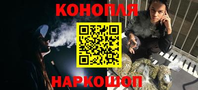 молекула духа Будённовск