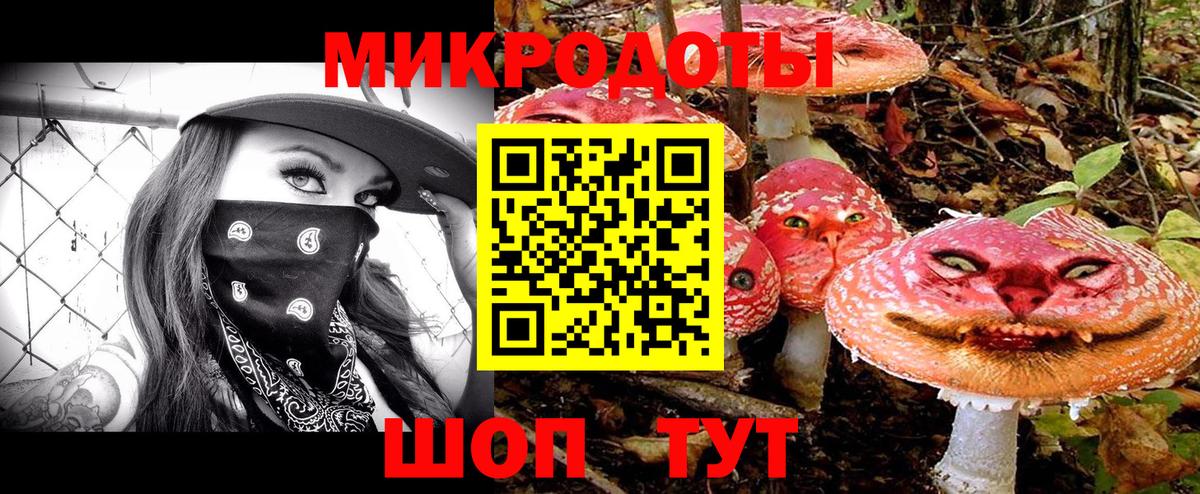 Галлюциногенные грибы Psilocybine cubensis Серов