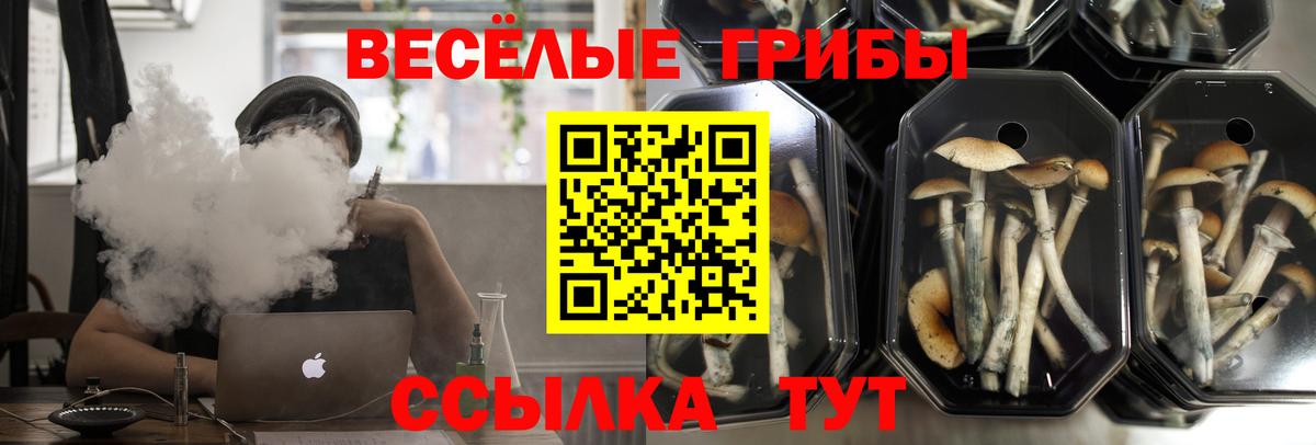 Галлюциногенные грибы Magic Shrooms  Вход с VPN  Серов 